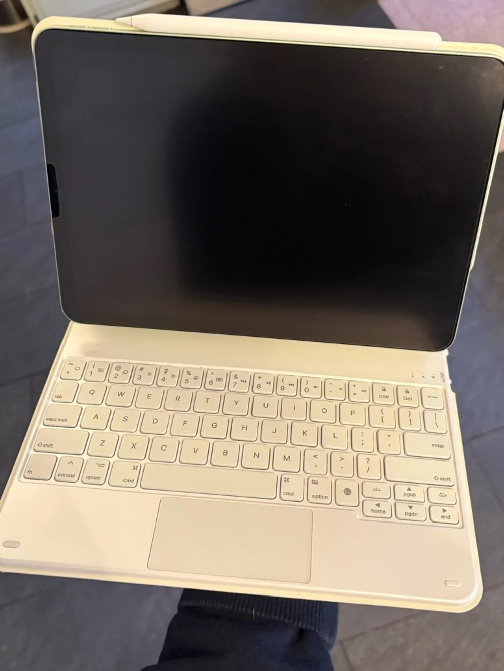 Apple iPad Air 4th Generation with Typecase